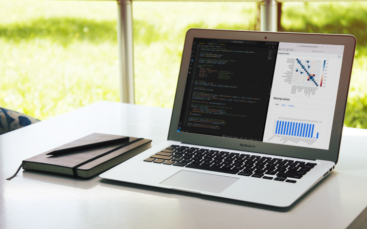 A laptop computer showing code and a visualization of a dataset